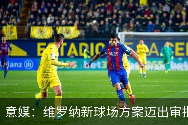 意媒：维罗纳新球场方案迈出审批第一步