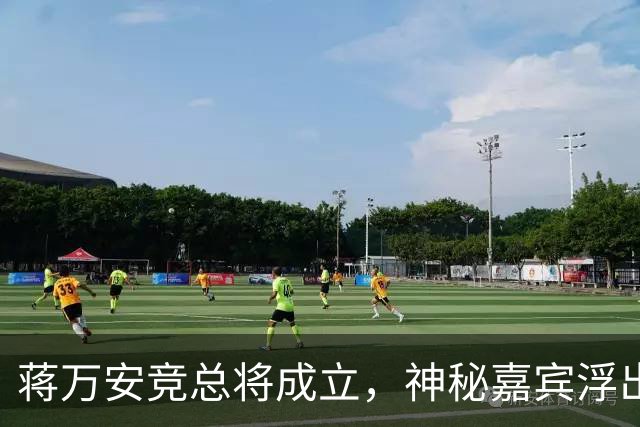 蒋万安竞总将成立，神秘嘉宾浮出水面？赵少康又专访绿营候选人
