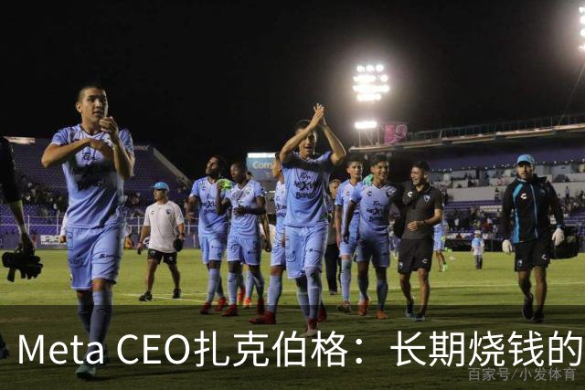 Meta CEO扎克伯格：长期烧钱的Muse和Reality Labs终于盈利在望