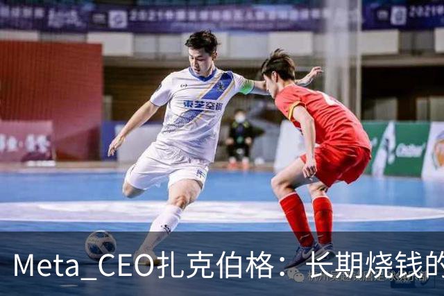 Meta CEO扎克伯格：长期烧钱的Muse和Reality Labs终于盈利在望